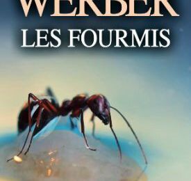 "Les fourmis" de Bernard Werber / Un roman où l'on finit par s'ennuyer.