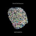 "Meteorites" de Echo and The Bunnymen : l'usure du temps