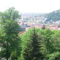 Heidelberg la ville