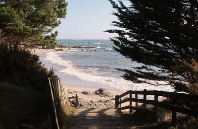 Plage abandonnée