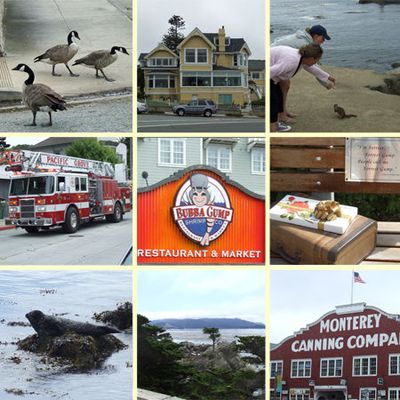 Santa Barbara - Carmel - Monterey