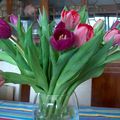 Tulipes