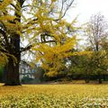 Le jardin botanique de Metz brille de mille feux.