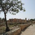 Le temple d'Apollon et les ruines de Kourion