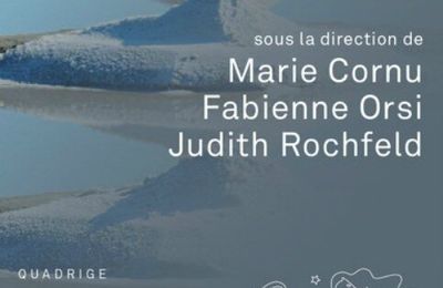 Dictionnaire des Biens Communs