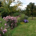 La saison des asters