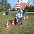 VILLENEUVE : Le propriétaire d'un chien a aussi des devoirs citadins