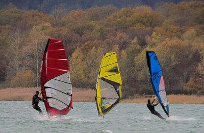 Windsurfeurs au taquet sur le lac de Madine ce jeudi en début d'après-midi