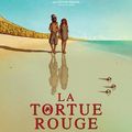 Festival le DéDé fait son ciné ... projection de " La Tortue Rouge" au cinéma L'Aiglon !