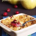 Crumble pomme - canneberge