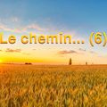 Le chemin… (6)