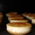 MINI CHEESECAKE AU FROMAGE AIL ET FINES HERBES