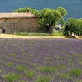 GUIDES gratuits BIO-DRÔME et BIO-VINS Rhône-Alpes