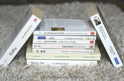 Pétage de plombs littéraire de début de vacances