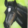 cheval au pastel