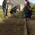 Les plantations de printemps au LEM : un petit jardin réussi, à faire durer jusqu'à la récolte