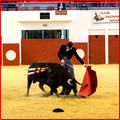 ARZACQ - conférence-débat avec le matador Béarnais Dorian CANTON
