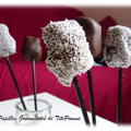 Sucettes pomme cannelle chocolat…pour les petits et grands enfants !!