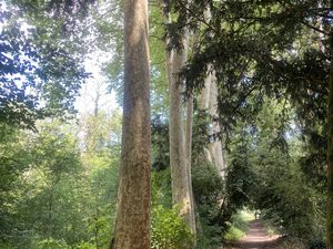 De la nature avant tout
