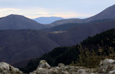 Cols cévenols