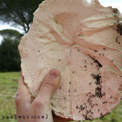 La légereté du corail...