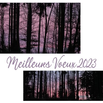 Happy New Year - Bonne Année 2023 !