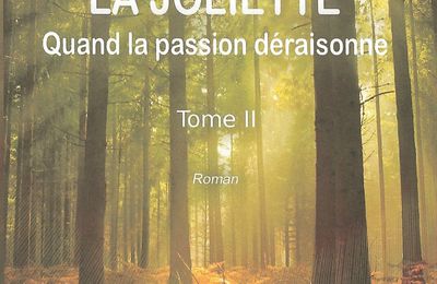 La Joliette : quand la Passion déraisonne (Tome 2)