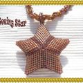 Pendentif "Seeing Star"