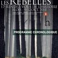 S. Wahnich, Rebelle, rebelles