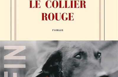 "Le Collier rouge" de Jean-Christophe Rufin