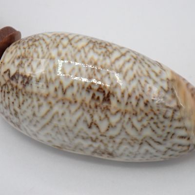 Septembre est Terracotta