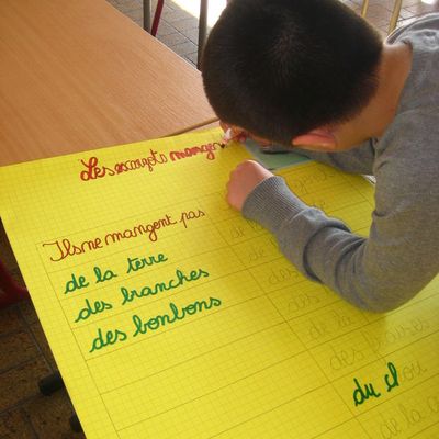 Création de panneaux pour l'exposition