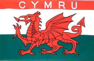 Du coq de Wallonie au dragon des Wales (1)