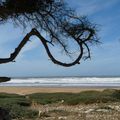 Sidi Kaouki Beach