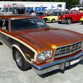 Ford Gran Torino Squire wagon-1973