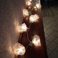 Tuto > Roses lumineuses