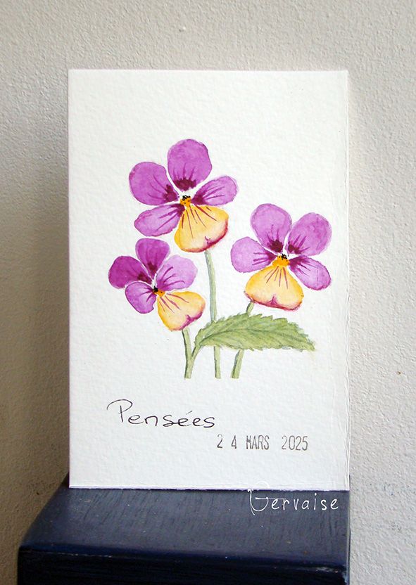 5 Pensées