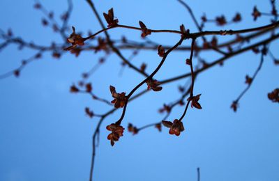 Un air de printemps!