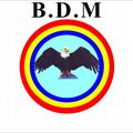 DECISION N°001/BDM/P.N./N.N./02-2017 DU 04/02/2017 PORTANT EXCLUSION DE MONSIEUR MANTEZOLO DIATEZUA PAPY DU PARTI POLITIQUE BDM 
