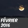 Février le discourtois
