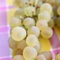 Le Chasselas de Moissac AOC est sur les étals ! (recette: tarte aux épluchures)