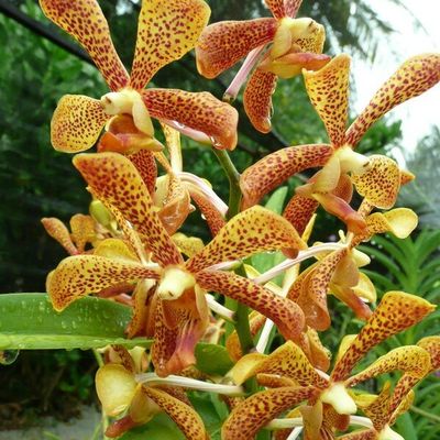 Je ne le redirai pas, et c'est très bien ainsi !