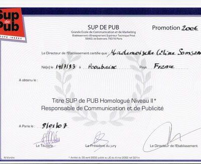 TITRE SUP DE PUB HOMOLOGUE NIVEAU II 