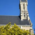 Le mimosa du collège Saint-Martin à Rennes le 8 mars 2014