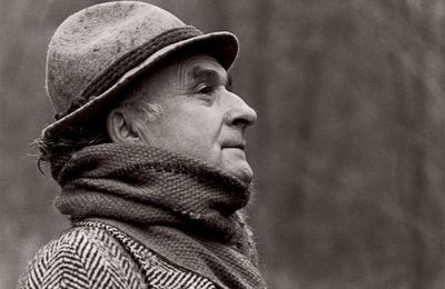 Andrea Zanzotto (1921 – 2011) : « Tendresse. Caresse.... » / « Dolcezza. Carezza... »