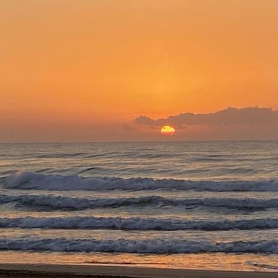 C'est la reprise! Qu'est-ce qu'on va manger ? Une quiche sans pâte, entre autres!
