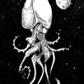 Astroctopus spaceini