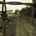 Aucun Musulman turc n'a été déporté à Dachau ou à Auschwitz