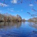 LE LAC DE MICHELE...