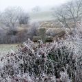 S'élever vers la lumière...